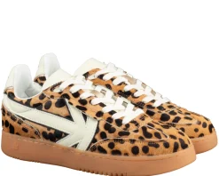 Kaotiko Boston sneakers